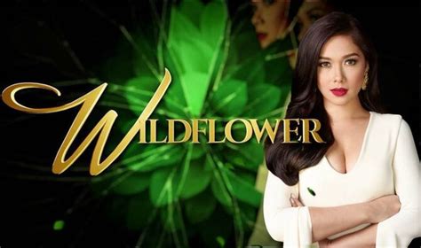 wildflower series telenovela.